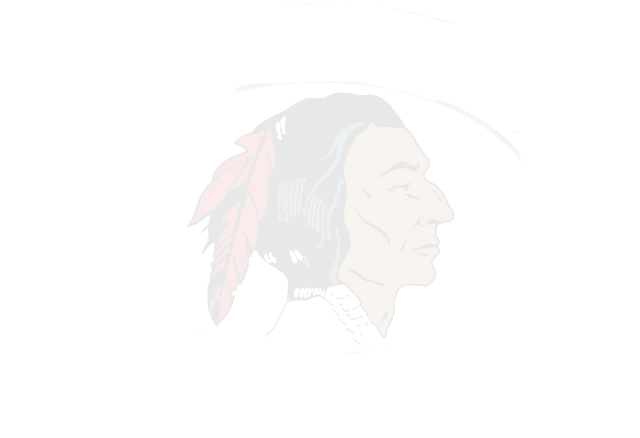 logo-footer